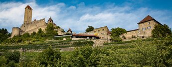 Burg Hornberg bei Neckarzimmern
