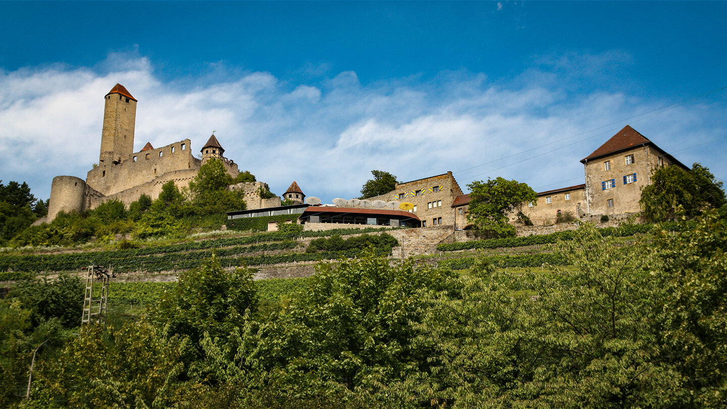 Burg Hornberg bei Neckarzimmern