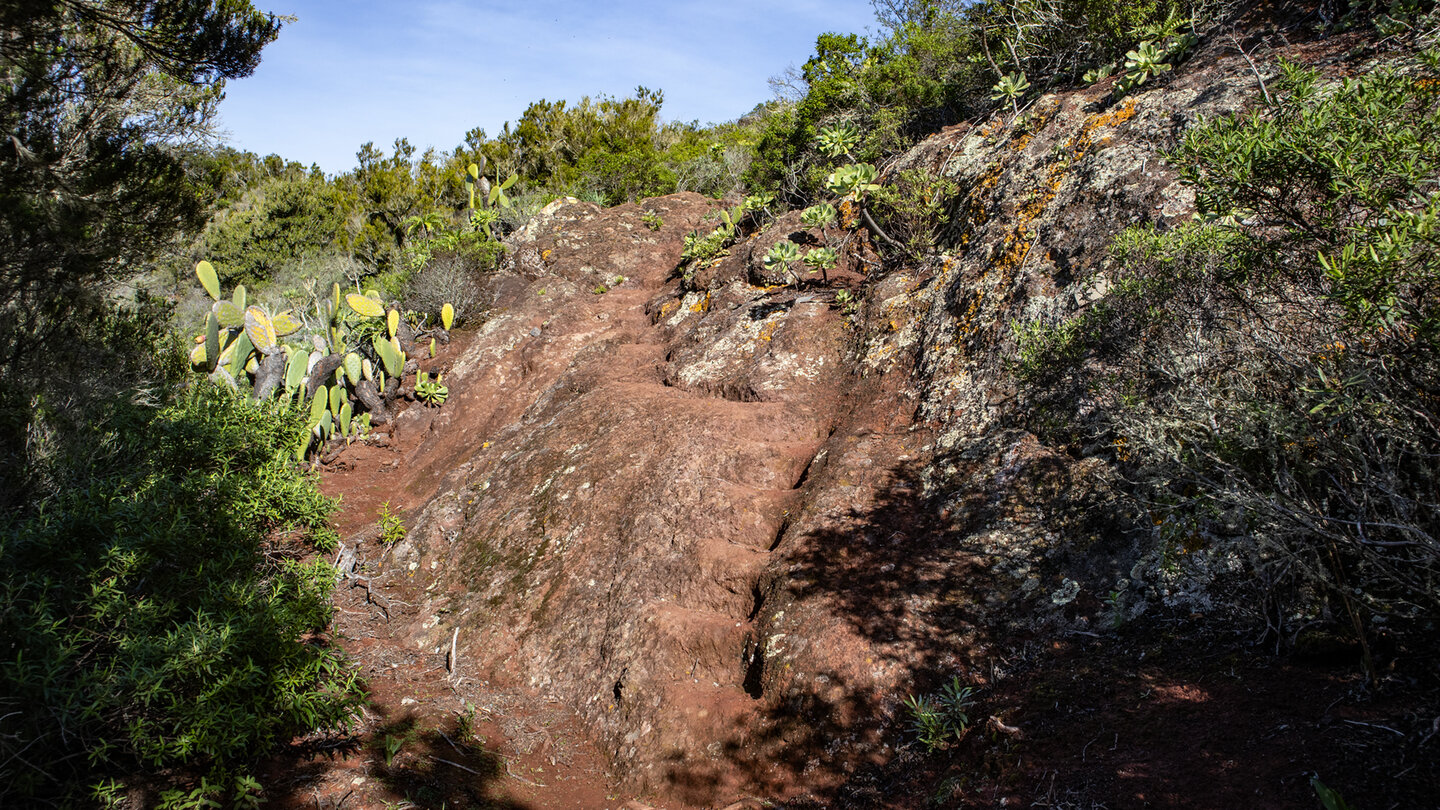 Wanderweg von El Palmar nach Los Silos