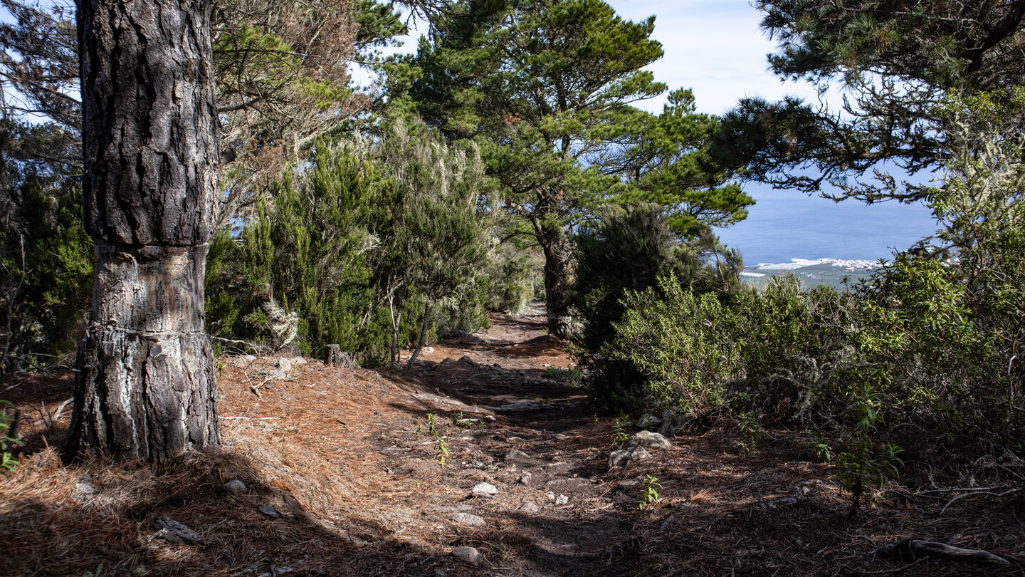 Wanderweg PR TF 55 am Bergrücken