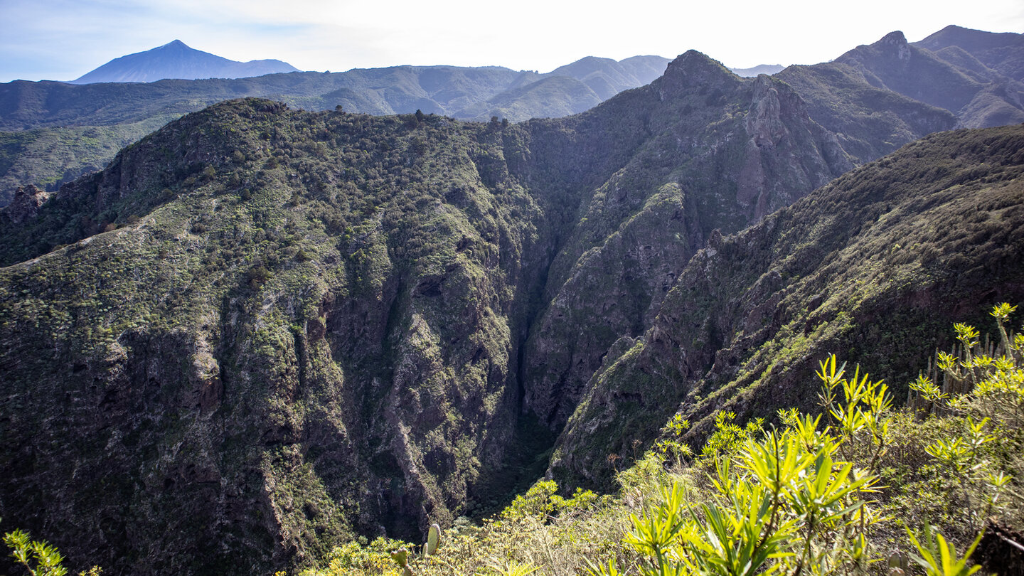 Blick in die Schlucht Barranco de San Blas mit dem Teide-Massiv im Hintergrund die Schlucht Barranco de San Blas mit dem Teide im Hintergrund
