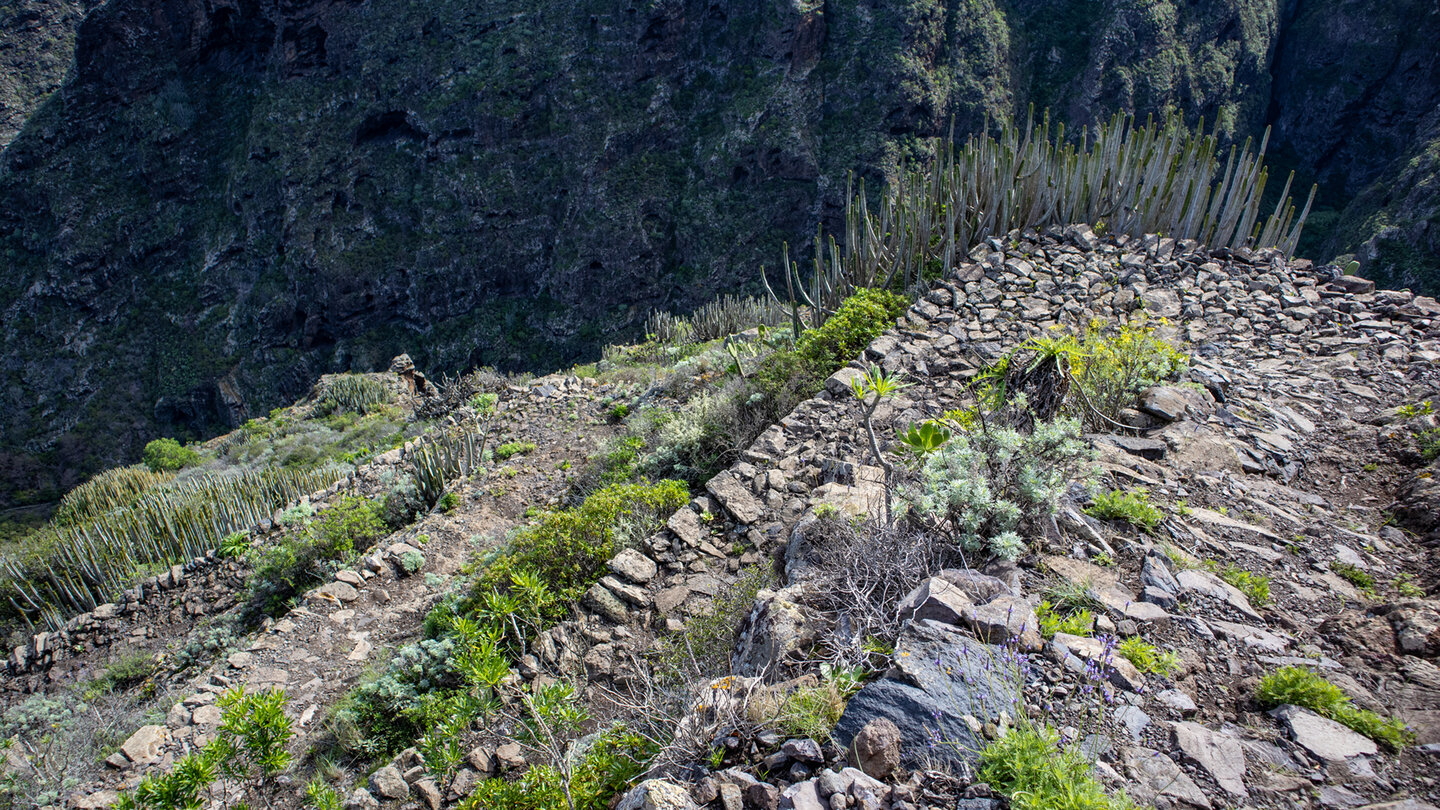 der Wanderweg führt in Serpentinen zum Barranco de San Blas