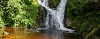 eisenhaltiges Wasser am Allerheiligen-Wasserfall