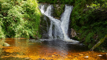 eisenhaltiges Wasser am Allerheiligen-Wasserfall