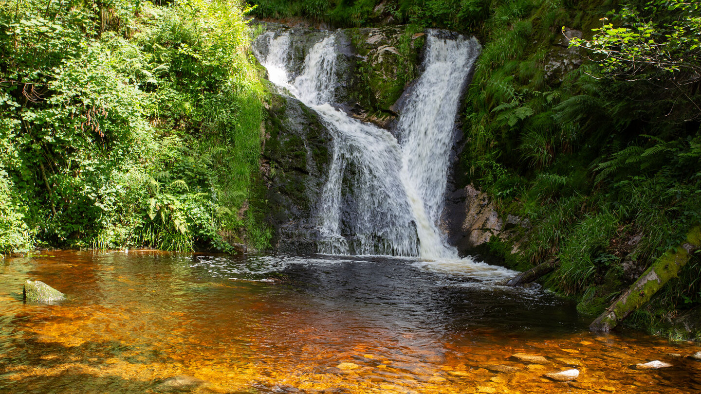 eisenhaltiges Wasser am Allerheiligen-Wasserfall eisenhaltiges Wasser am Allerheiligen-Wasserfall