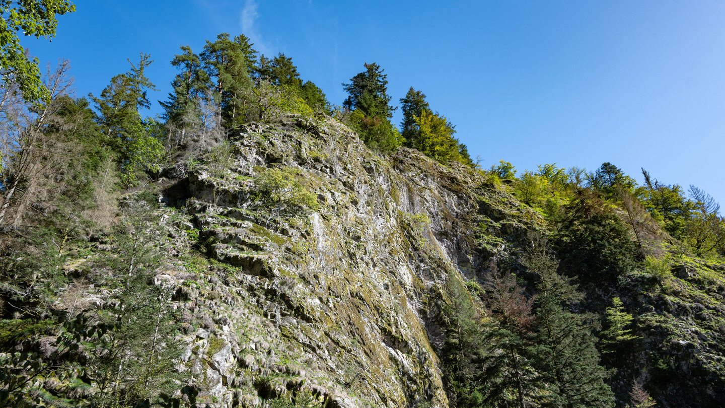steil aufragende Felswände oberhalb der Schlucht an den Allerheiligen-Wasserfällen steil aufragende Felswände oberhalb der Schlucht