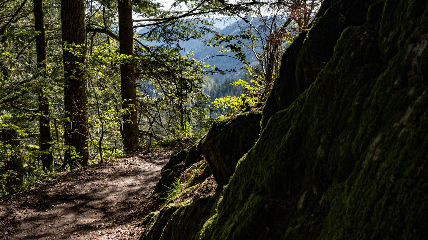 Ausblicke über Schluchten und Täler des Nordschwarzwalds vom Wanderweg Ausblicke über Schluchten und Täler des Nordschwarzwalds vom Wanderweg