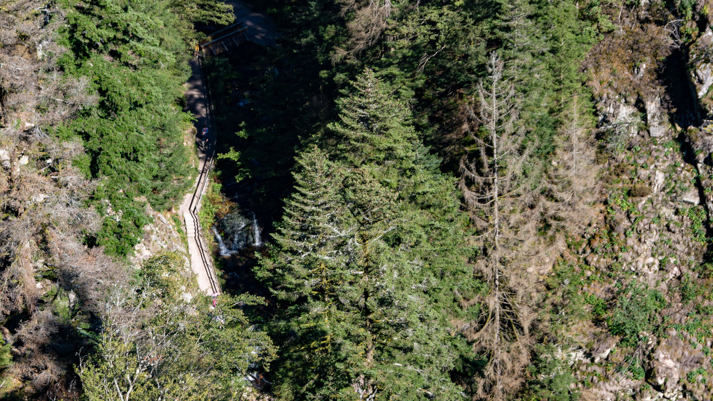 Blick von der Engelskanzel auf die Allerheiligen-Wasserfälle Blick von der Engelskanzel auf die Allerheiligen-Wasserfälle