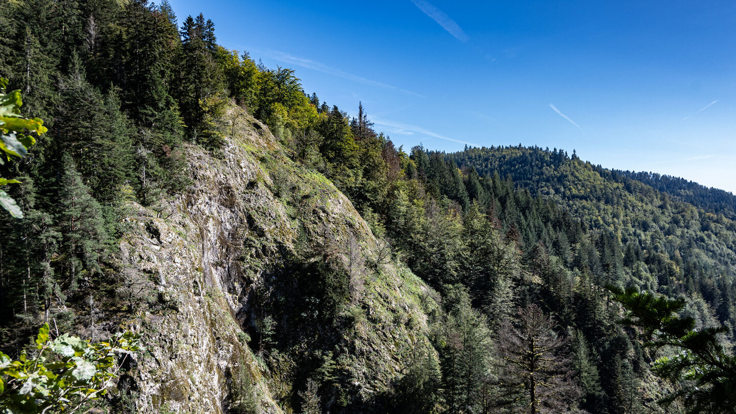 Blick entlang des Studentenfelsens auf die Waldhänge des Nordschwarzwaldes Blick entlang des Studentenfelsens auf die Waldhänge des Nordschwarzwaldes