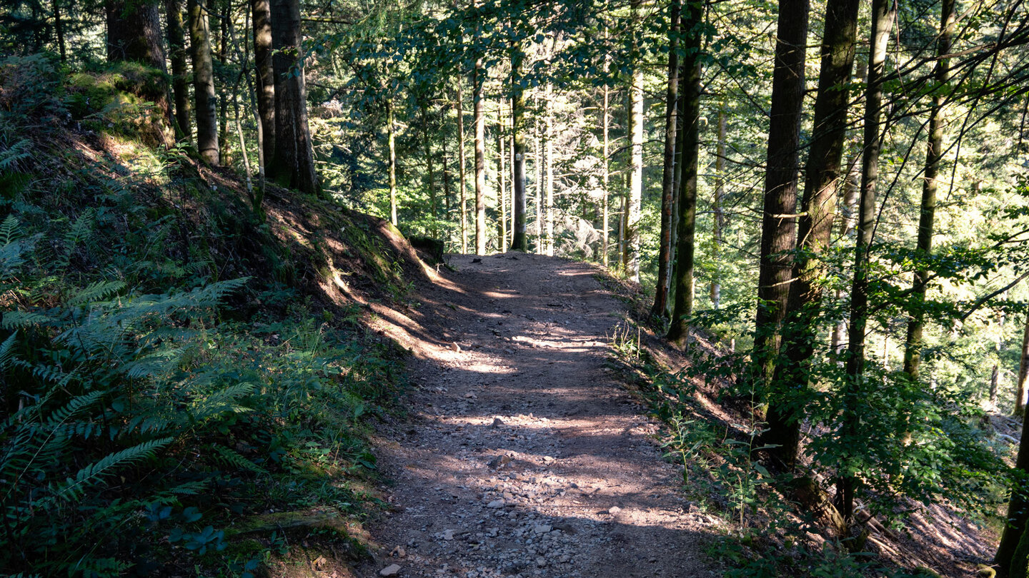 Wanderung nahe des Moospfaff zurück zum Ausgangspunkt Wanderung nahe des Moospfaff zurück zum Ausgangspunkt
