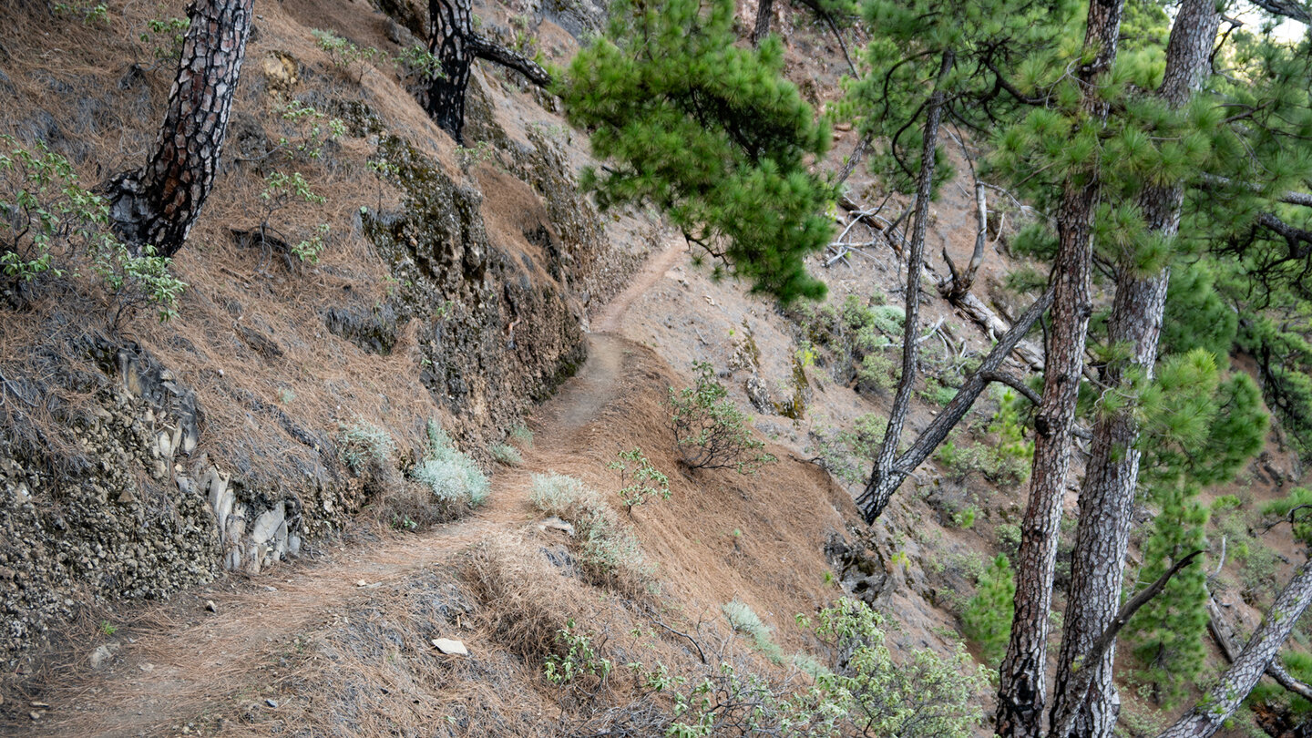 Wanderpfad auf den Bejenado
