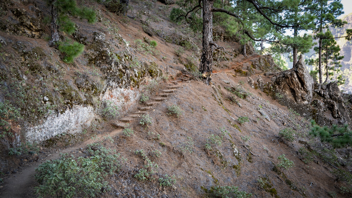 Wanderweg von La Cumbrecita auf den Bejenado