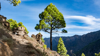 Aufstiegsroute zum Roque de los Cuervos