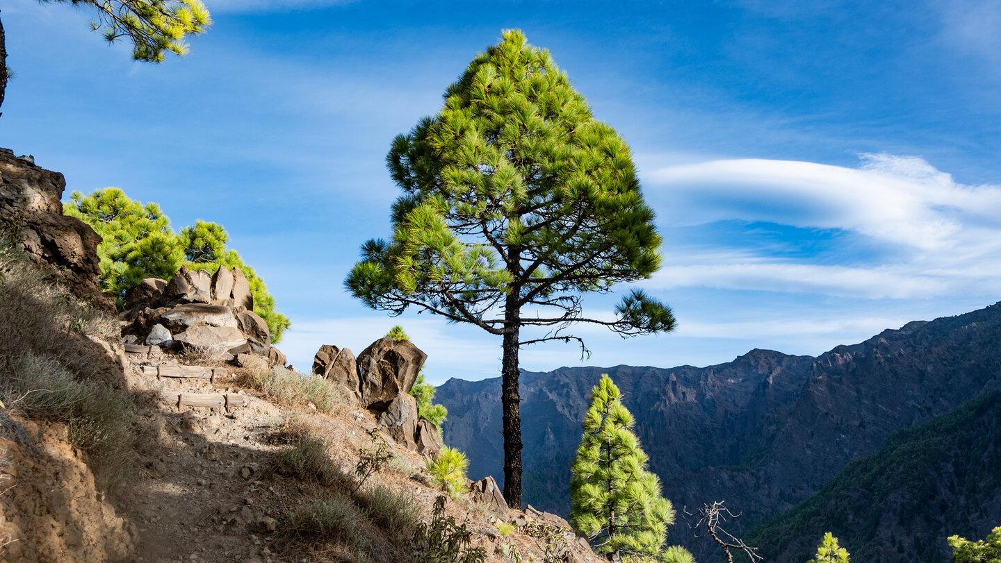 Aufstiegsroute zum Roque de los Cuervos