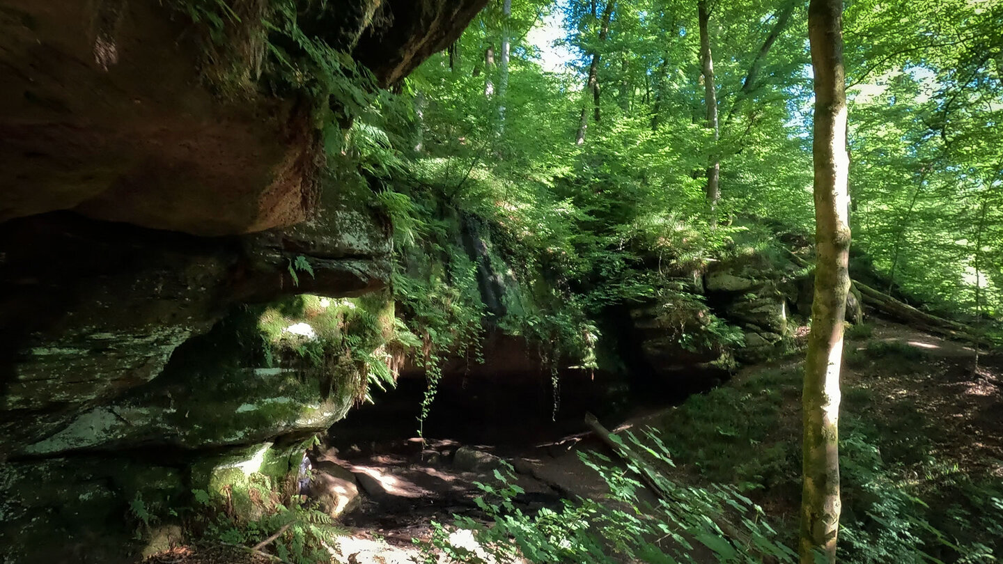 Grotte der unteren Bärenhöhle am Rodalber Felsenwanderweg Untere Bärenhöhle am Rodalber Felsenwanderweg
