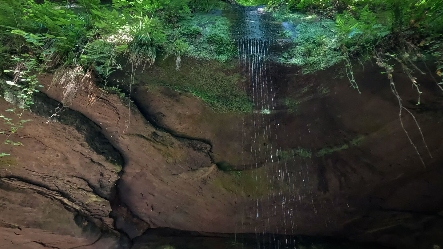 Fadenwasserfall an der Bärenhöhle bei Rodalben Fadenwasserfall an der Bärenhöhle bei Rodalben