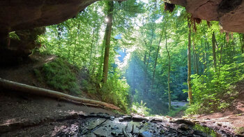 Blick aus der unteren Bärenhöhle bei Rodalben