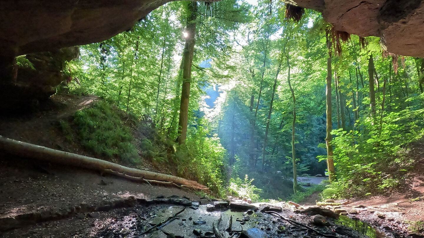 Blick aus der unteren Bärenhöhle bei Rodalben Blick aus der unteren Bärenhöhle bei Rodalben