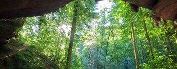 Blick aus der Bärenhöhle bei Rodalben