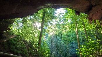 Blick aus der Bärenhöhle bei Rodalben