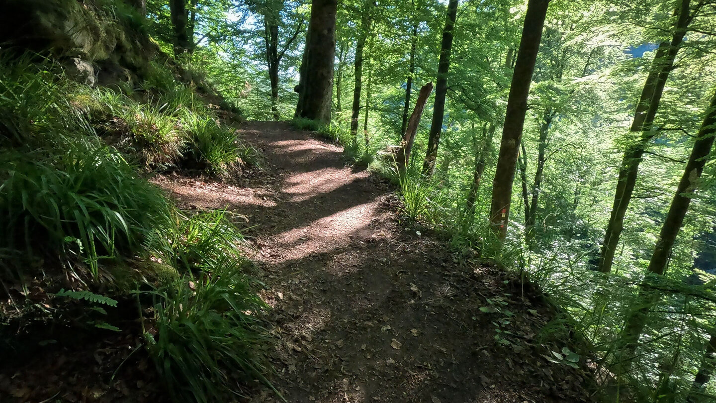 der Rodalber Felsenwanderweg nahe der Bärenhöhle Rodalber Felsenwanderweg nahe der Bärenhöhle