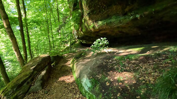 Buntsandsteinfelsen am Rodalber Felsenwanderweg