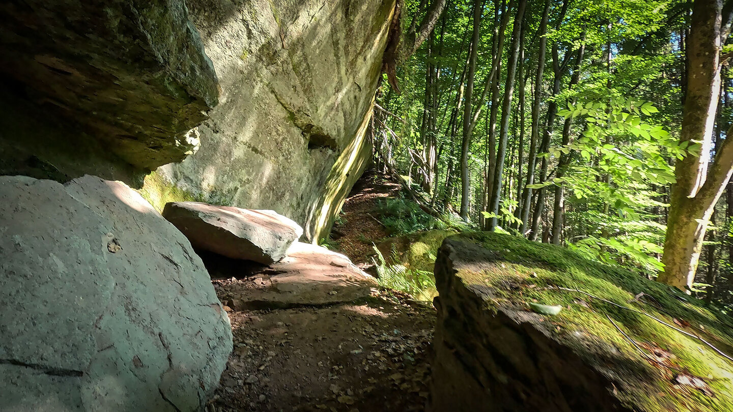 Felswände der Langenbachfelsen am Rodalber Felsenwanderweg Felswände der Langenbachfelsen am Rodalber Felsenwanderweg