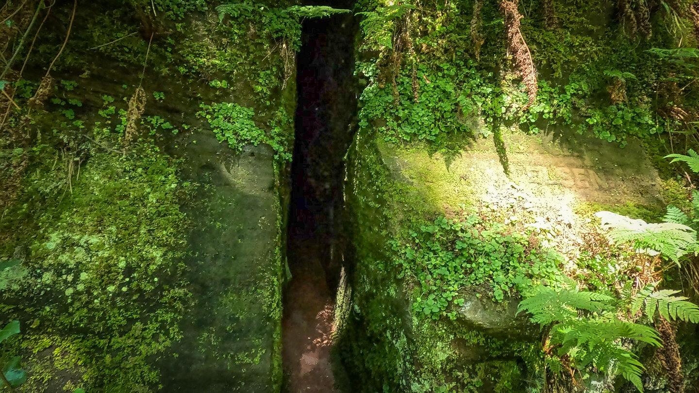 Felsspalte in den Langenbachfelsen bei Rodalben Felsspalte in den Langenbachfelsen bei Rodalben