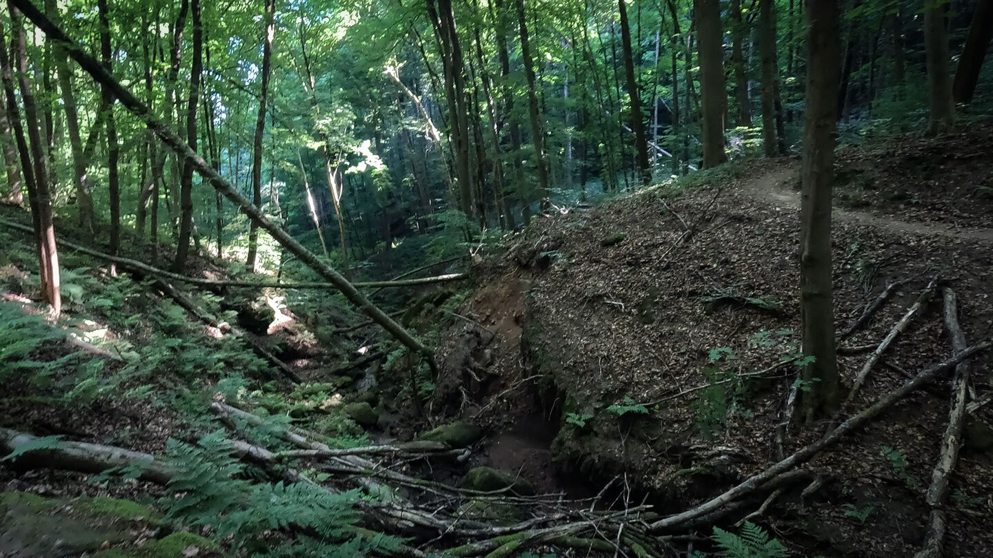 der Rodalber Felsenwanderweg quert eine kleine die Schlucht am Lagenbach der Rodalber Felsenwanderweg quert eine kleine die Schlucht am Lagenbach