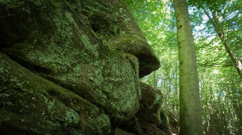 Seibelsbachfelsen am Rodalber Felsenwanderweg