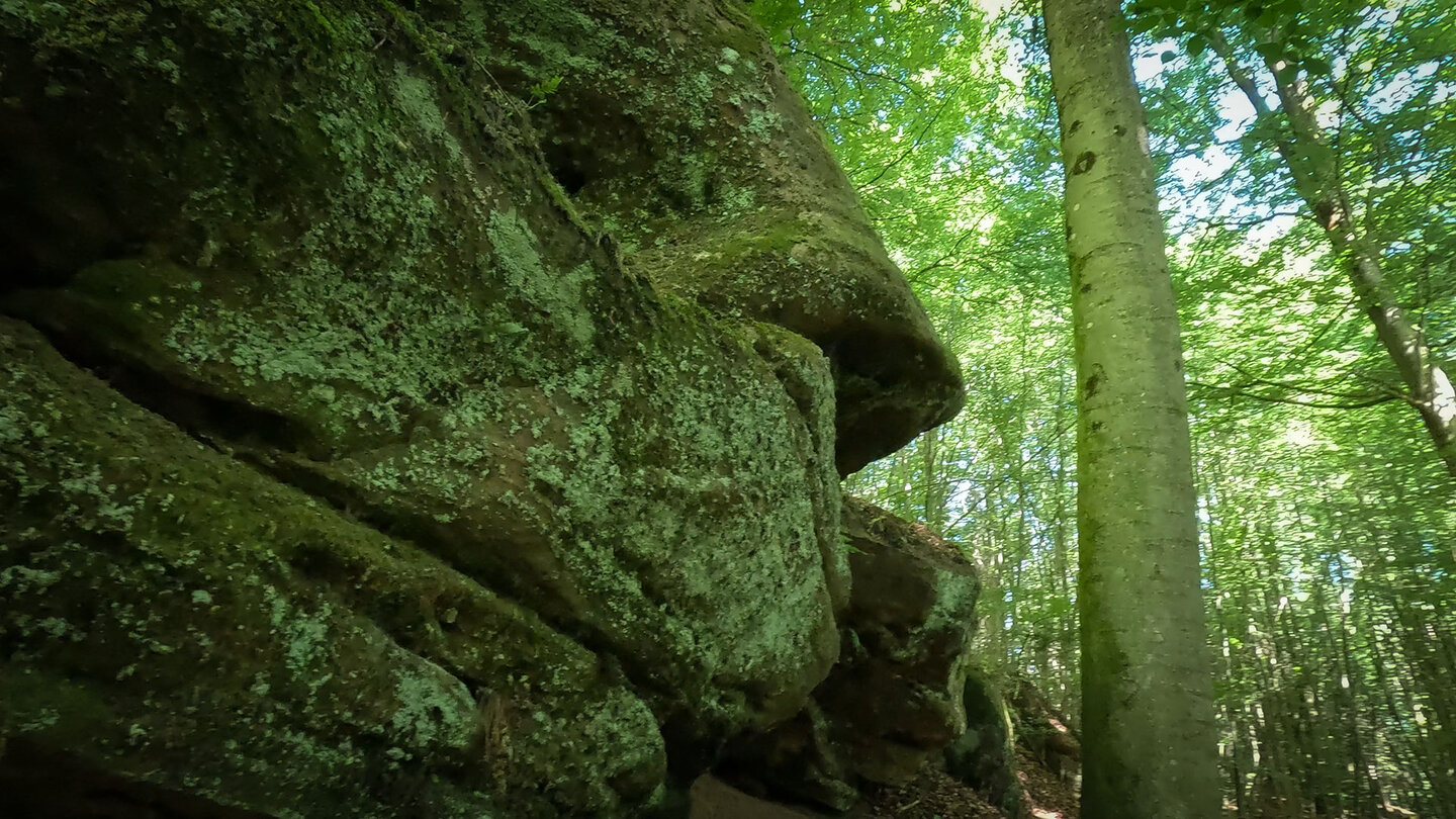 die Seibelsbachfelsen am Rodalber Felsenwanderweg Seibelsbachfelsen am Rodalber Felsenwanderweg