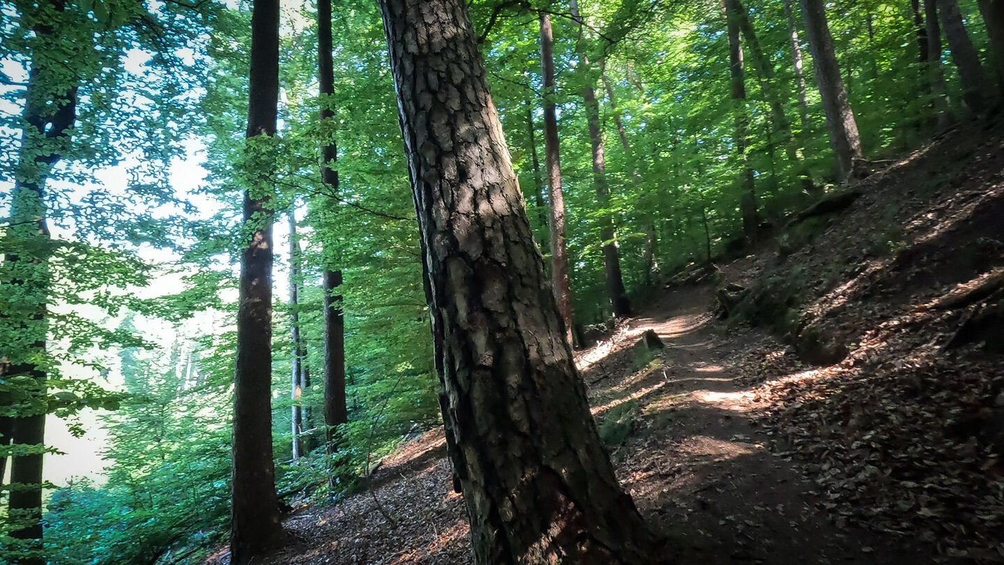 Wandern auf dem Rodalber Felsenwanderweg im Pfälzerwald Wandern auf dem Rodalber Felsenwanderweg