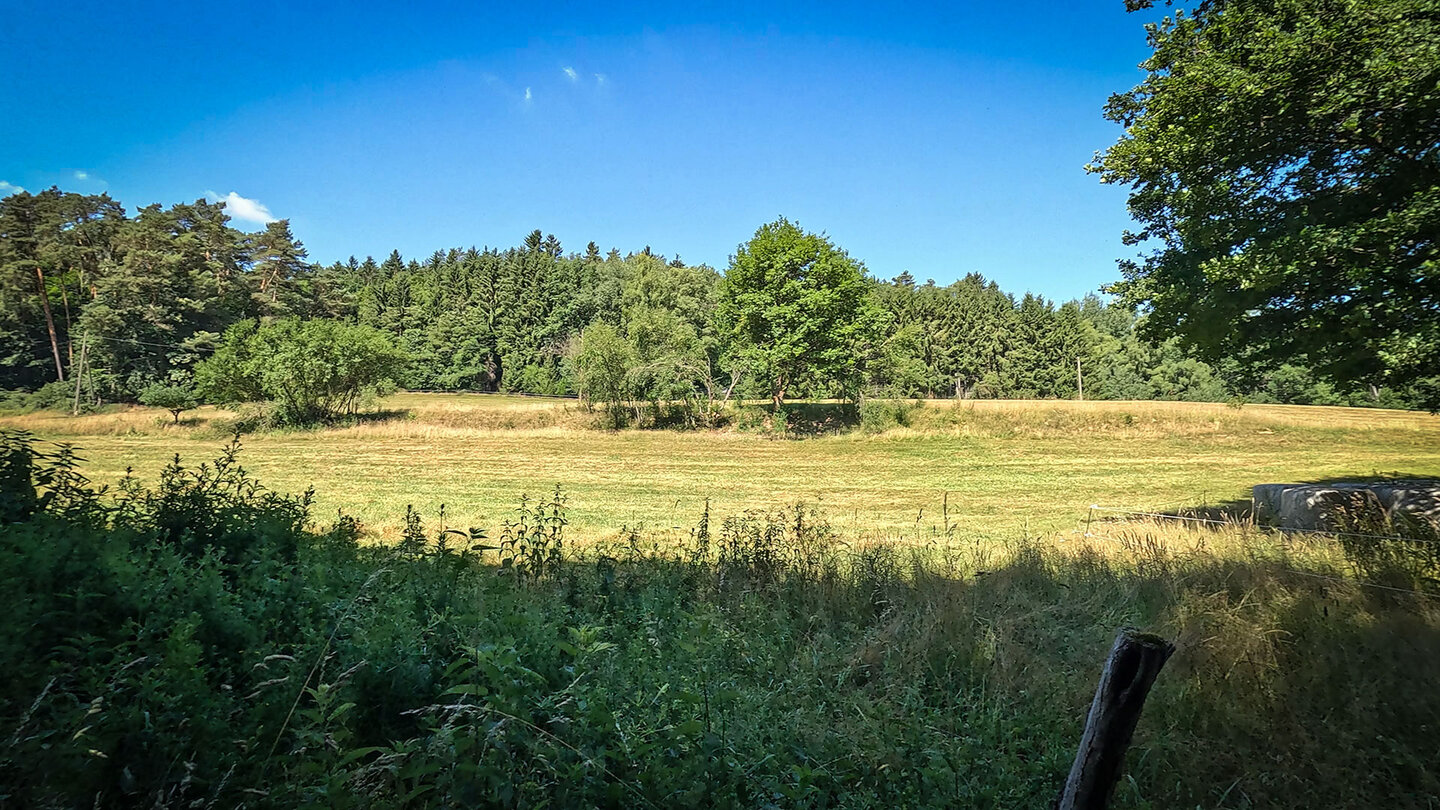Wiesen im Langenbachtal bei Rodalben Wiesen im Langenbachtal bei Rodalben
