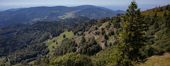 Panoramablick oberhalb des Kleinen Wiesental