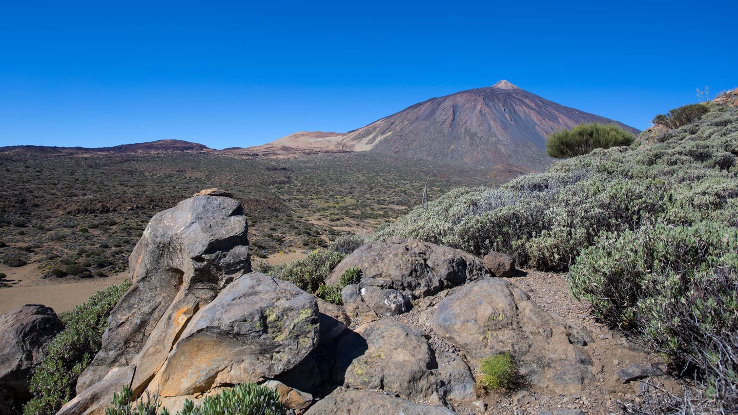 Blick auf Teide mit Montaña Blanca und Montaña Rajada am Cruz de Frejel