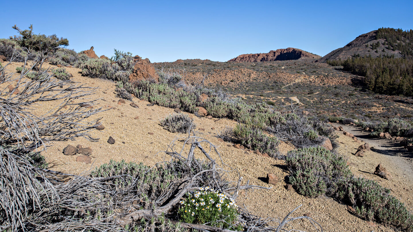 Ausblick Richtung El Cabezón und La Fortaleza während der Wanderung