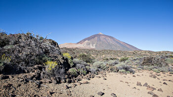 Panoramaaussicht auf Teide und Montaña Blanca auf Wanderweg 1