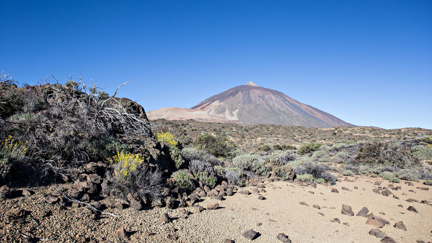Panoramaaussicht auf Teide und Montaña Blanca auf Wanderweg 1