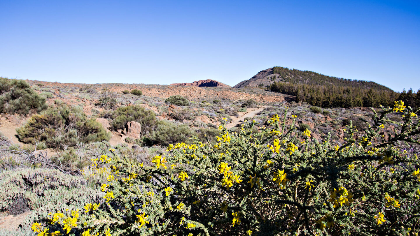 der Wanderweg mit El Cabezón und La Fortaleza im Hintergrund