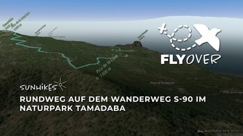 Waldidyll & weite Panoramen: Der Tamadaba-Rundweg S-90 im plastischen Flyover Video