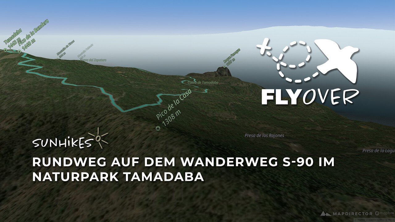 Waldidyll & weite Panoramen: Der Tamadaba-Rundweg S-90 im plastischen Flyover Video