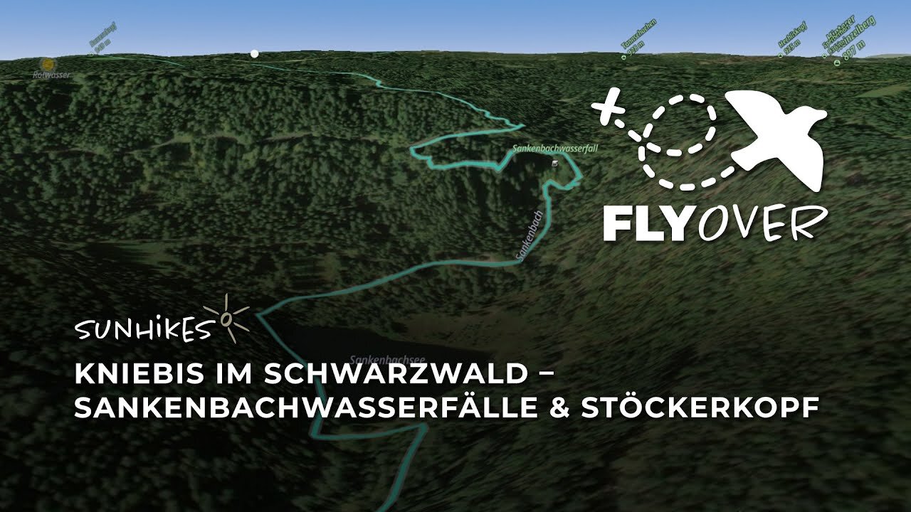 Kniebis im Schwarzwald: Wanderung Sankenbachwasserfälle & Stöckerkopf – Flyover