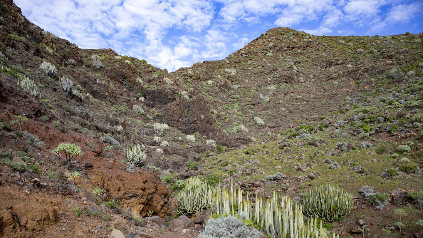 der Wanderweg folgt der Itobal-Schlucht aufwärts nach Teno Alto