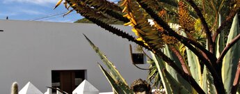 in Mancha Blanca auf Lanzarote findet man traditionelle kanarische Gebäude mit schön angelegten Gärten