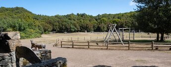 das Erholungsgebiet La Laguna Grande im Nationalpark Garajonay