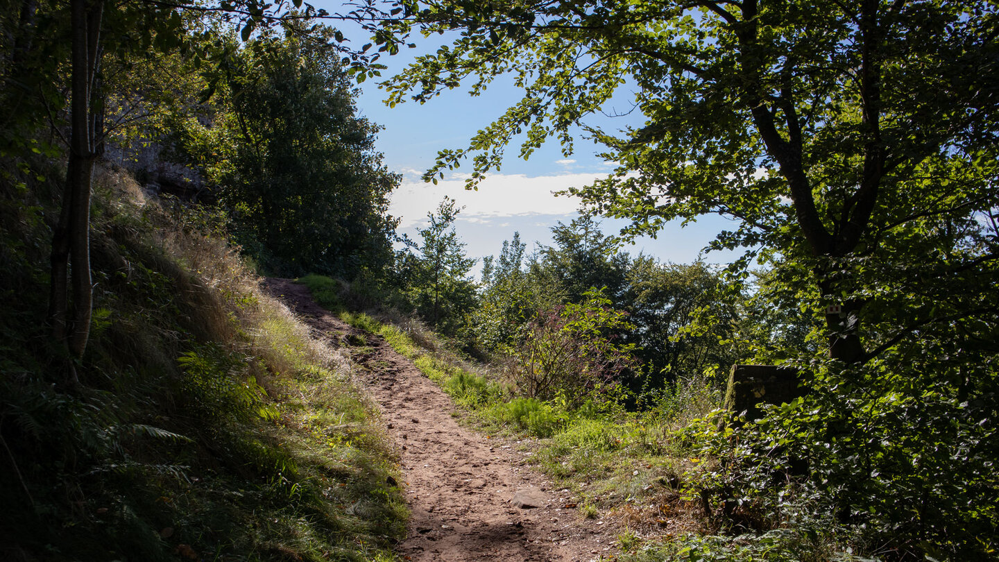 Wanderweg zur Burg Loewenstein