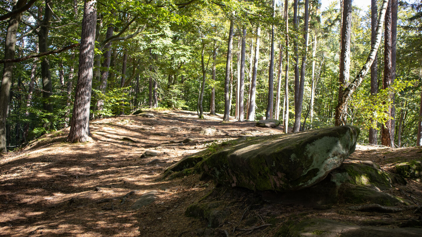 Wanderweg entlang eines Bergkamms auf dem Felsensteig