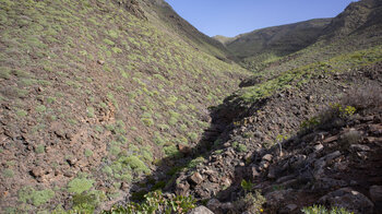 Wanderung durch die Poceta-Schlucht im Famara-Gebirge