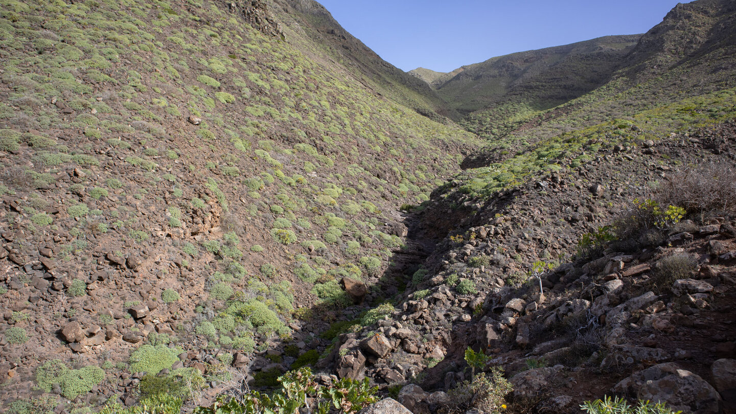 Wanderung durch die Poceta-Schlucht im Famara-Gebirge