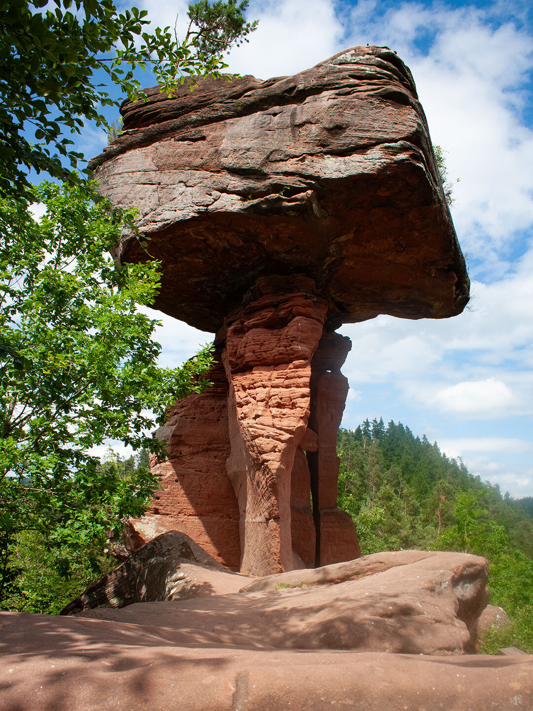 filigraner Felsfuß des Teufelstischs bei Hinterweidenthal im Pfälzerwald Felsfuß des Teufelstischs bei Hinterweidenthal im Pfälzerwald
